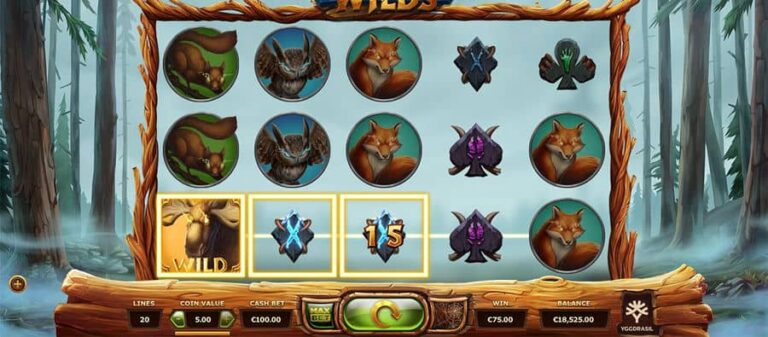 Untamed Wilds