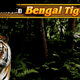 Untamed Bengal Tiger