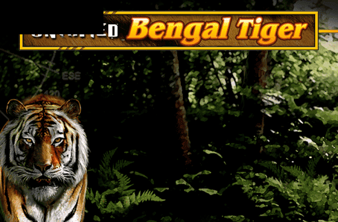 Untamed Bengal Tiger