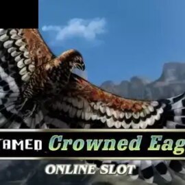 Untamed Crowned Eagle