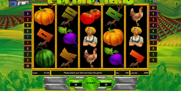 Veggie Farm