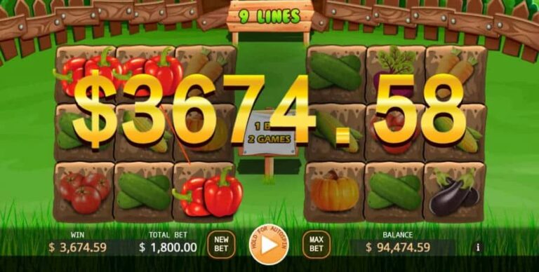 Veggies Plot