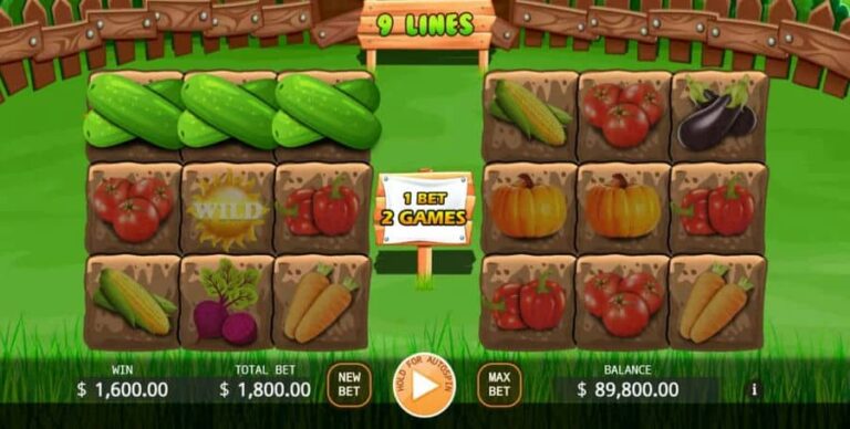 Veggies Plot