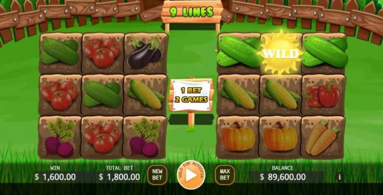 Veggies Plot
