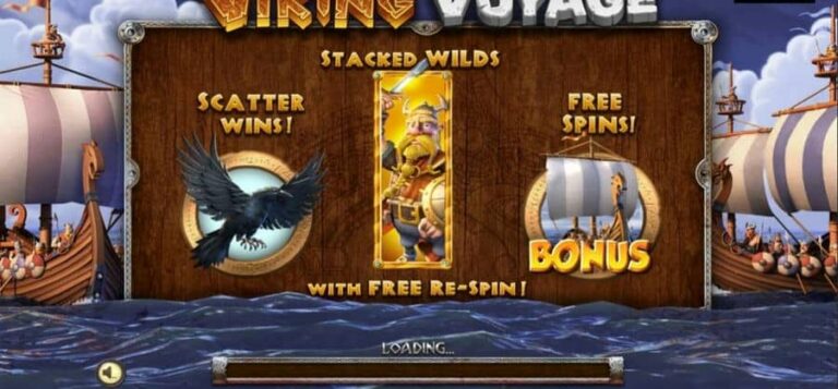 Viking Voyage