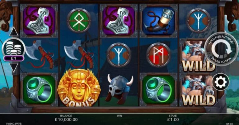 Viking Pays