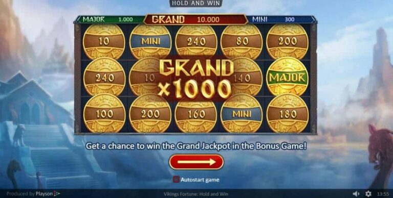 Vikings Fortune: Hold and Win