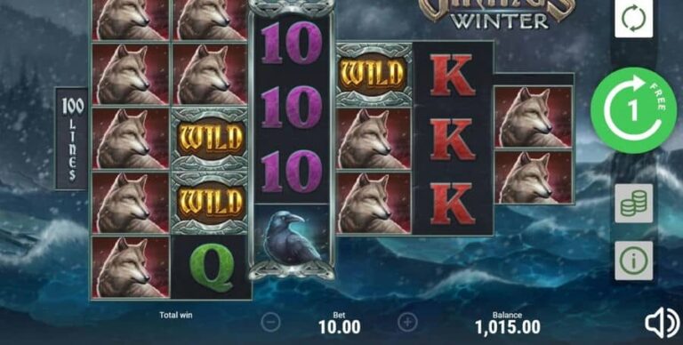 Vikings Winter