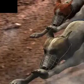 Virtual Greyhounds