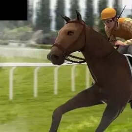 Virtual Horses