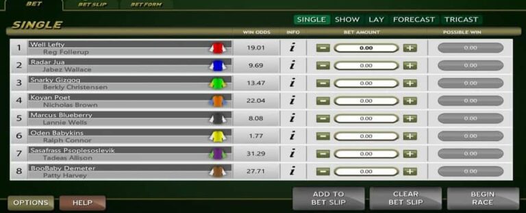 Virtual Racebook 3D