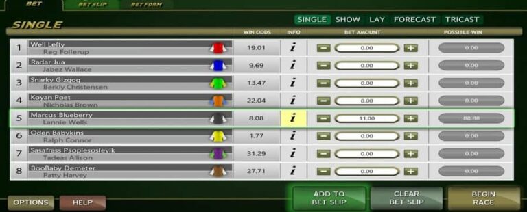 Virtual Racebook 3D