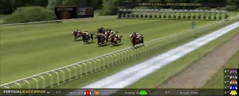 Virtual Racebook 3D
