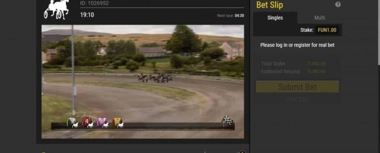 Virtual Racing