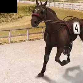 Virtual Trotting