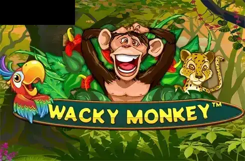 Wacky Monkey