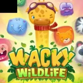 Wacky Wildlife