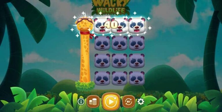 Wacky Wildlife