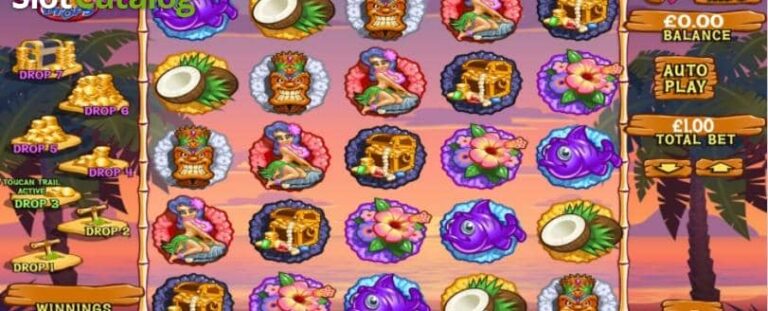 Waikiki Wonga Fun Drops