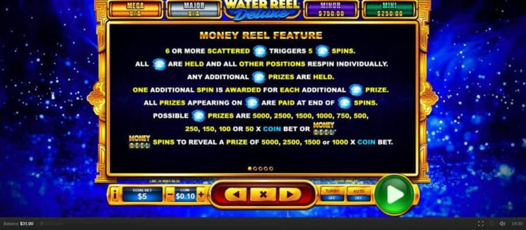Water Reel Deluxe