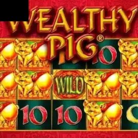 Wealthy Pig