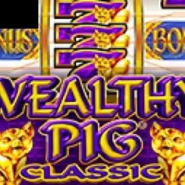 Wealthy Pig Classic