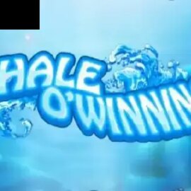 Whale O’ Winnings