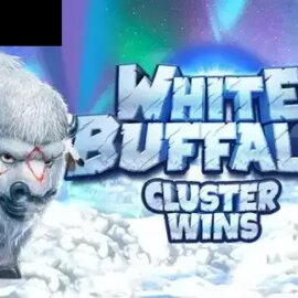 White Buffalo Cluster Wins
