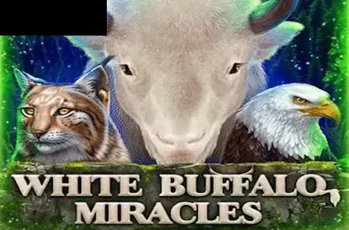 White Buffalo Miracles