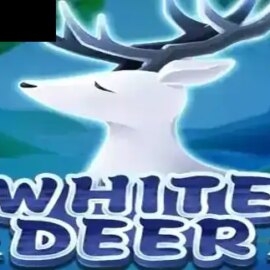 White Deer