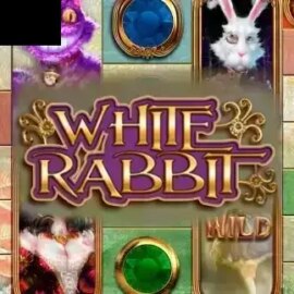 White Rabbit