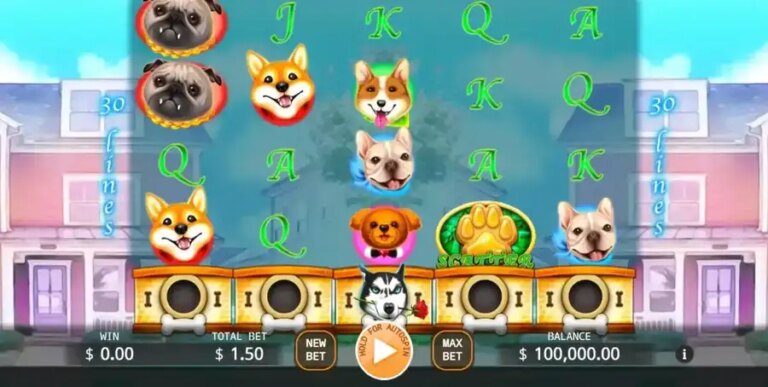 Who Let the Dogs Out