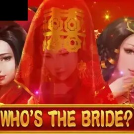 Who’s the Bride
