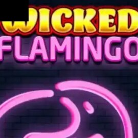 Wicked Flamingo