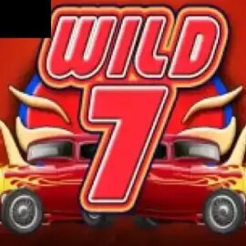 Wild 7