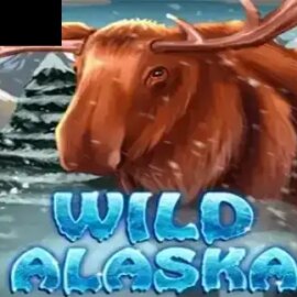 Wild Alaska