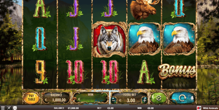 Wild Animals
