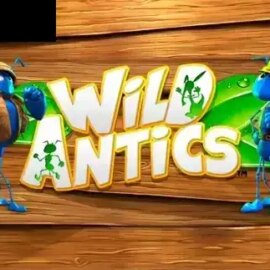 Wild Antics