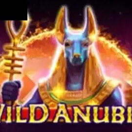 Wild Anubis