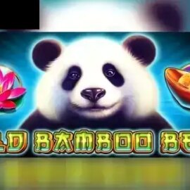 Wild Bamboo Bear