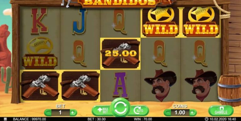Wild Bandidos
