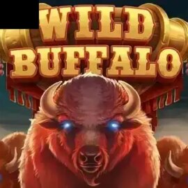 Wild Buffalo