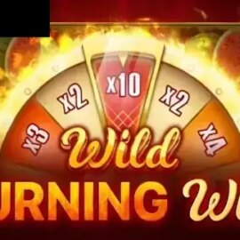 Wild Burning Wins: 5 lines