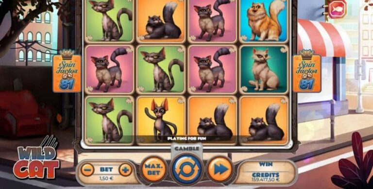 Wild Cat