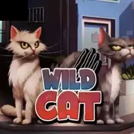 Wild Cat