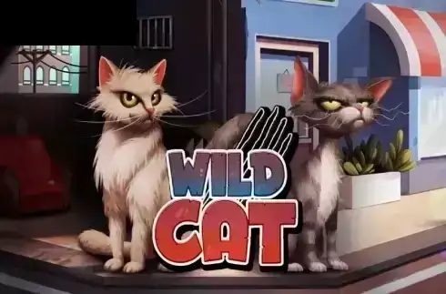 Wild Cat