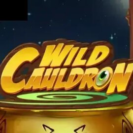 Wild Cauldron