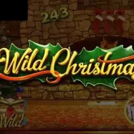 Wild Christmas