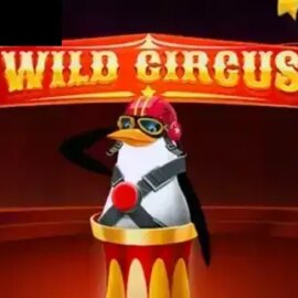 Wild Circus