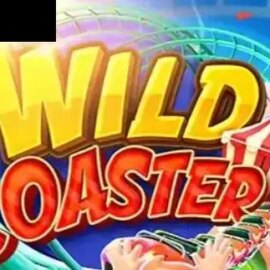 Wild Coaster